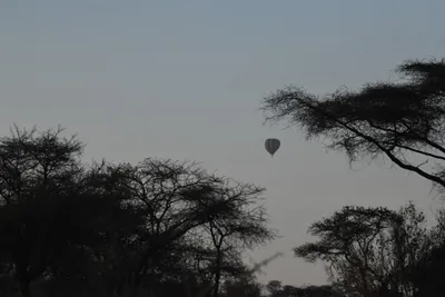 DSC_3742 (Large).JPG